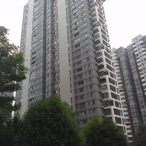 万科红郡治理案例